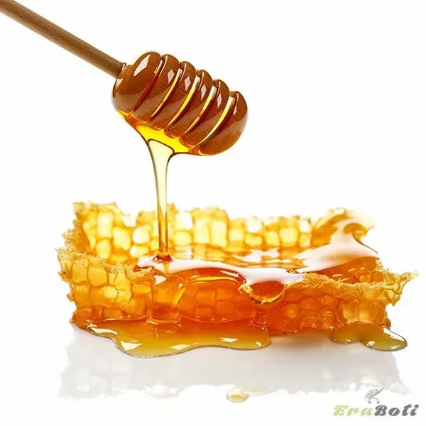 লিচু ফুলের মধু - Lychee Flower Honey — ছবি 4